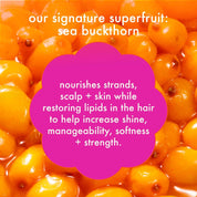 Supernova Moisture + Shine Hair Cream