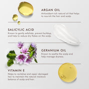 Moroccanoil Dry Scalp Treatment