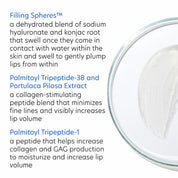 PCA Hyaluronic Acid Lip Booster