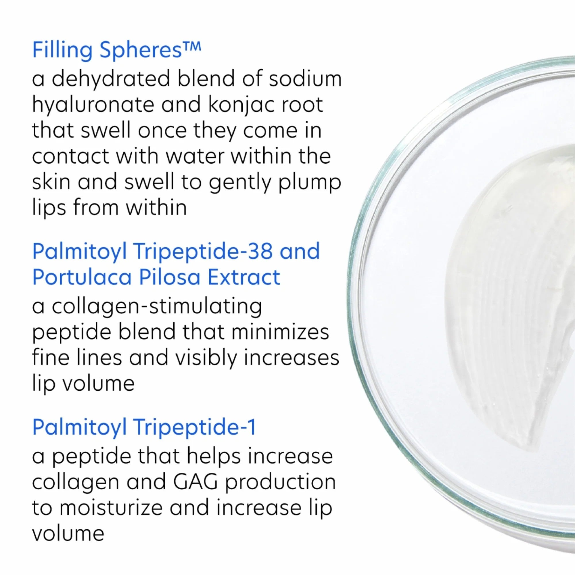 PCA Hyaluronic Acid Lip Booster