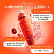 Perk up Plus Extended Dry Shampoo