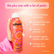 Perk up Plus Extended Dry Shampoo