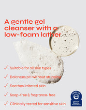 Bare Necessity - Hyaluronic Acid Gel Cleanser