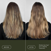 Perfect Hair Day 5-In-1 Styling Trtmt