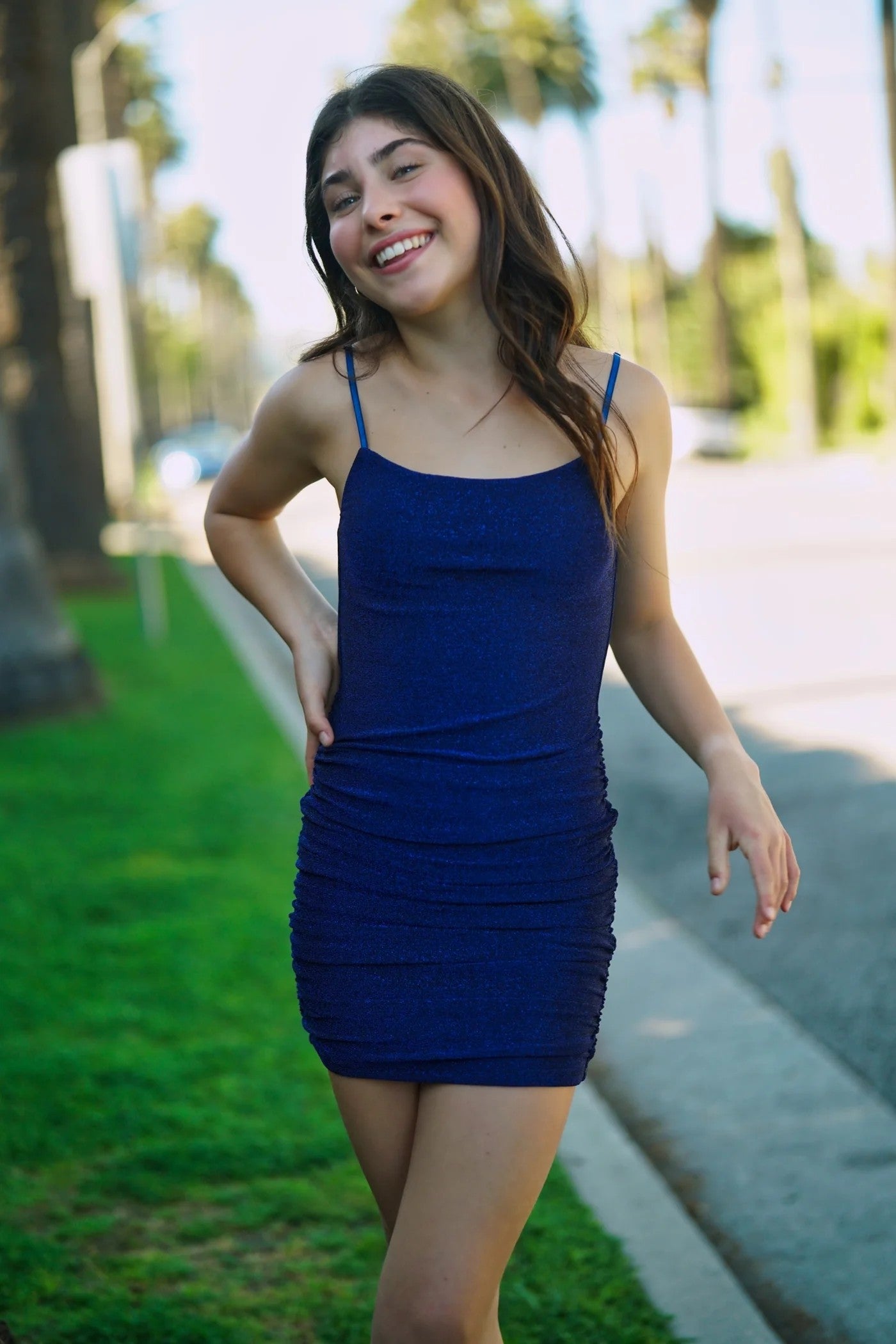Skylar Dress Blue
