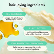 The Kure Strength Repair Shampoo