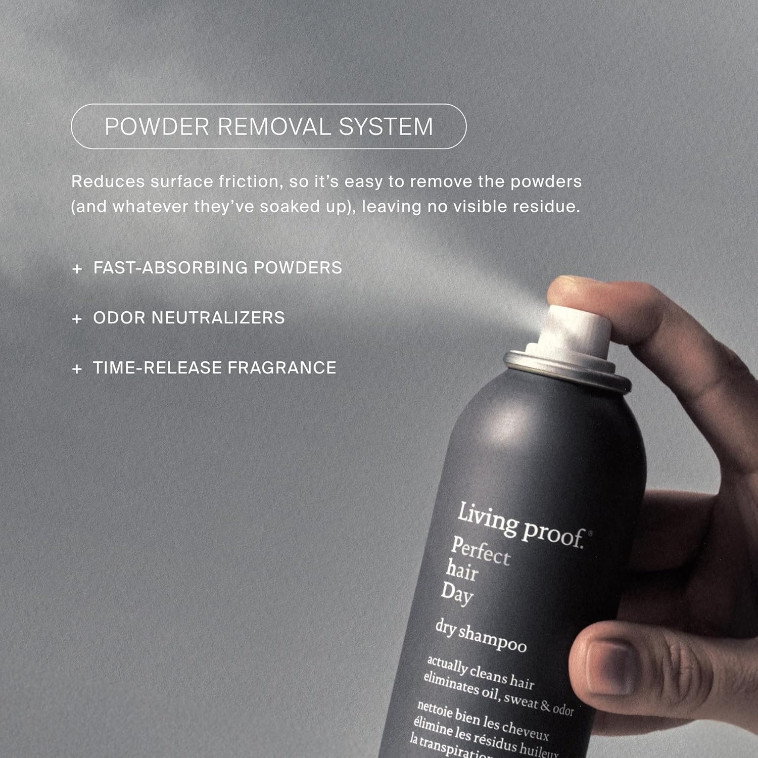 Perfect Hair Day Dry Shampoo