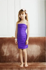 Noemi Dress Purple Gem