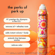 Perk Up Dry Shampoo
